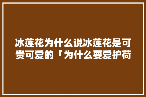 冰莲花为什么说冰莲花是可贵可爱的「为什么要爱护荷花呢」 冰莲花为什么说冰莲花是可贵可爱的「为什么要爱护荷花呢」 搜狗SEO