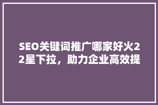 SEO关键词推广哪家好火22星下拉，助力企业高效提升品牌知名度 神马SEO
