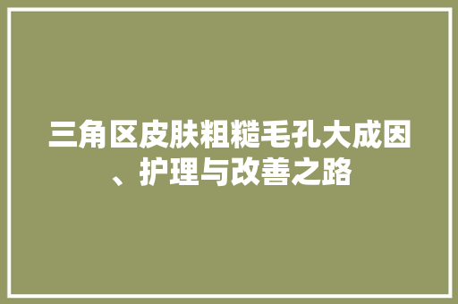 三角区皮肤粗糙毛孔大成因、护理与改善之路