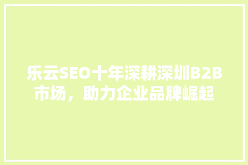 乐云SEO十年深耕深圳B2B市场，助力企业品牌崛起 必应SEO
