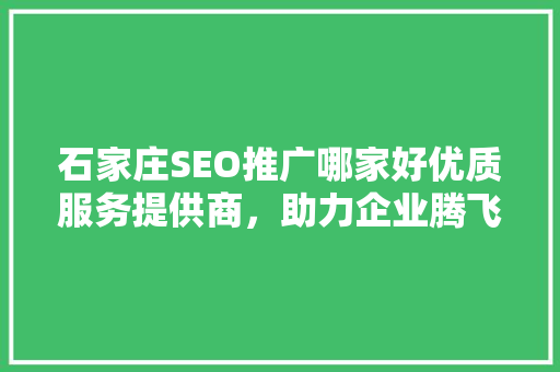 石家庄SEO推广哪家好优质服务提供商，助力企业腾飞 必应SEO