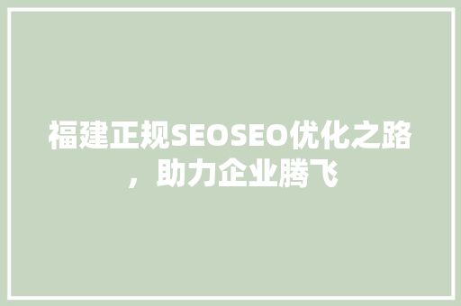 福建正规SEOSEO优化之路，助力企业腾飞 百度SEO