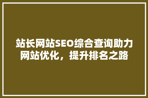 站长网站SEO综合查询助力网站优化，提升排名之路 百度SEO