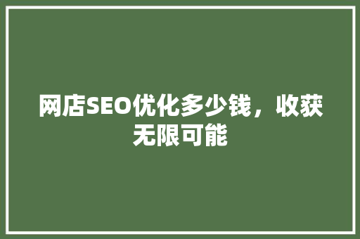 网店SEO优化多少钱，收获无限可能 必应SEO
