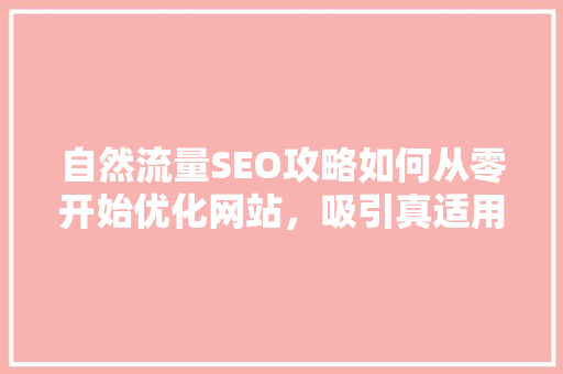 自然流量SEO攻略如何从零开始优化网站，吸引真适用户 百度SEO