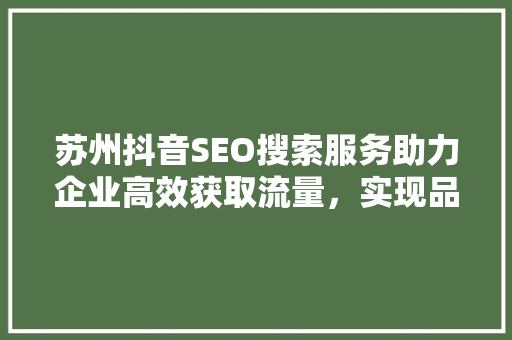 苏州抖音SEO搜索服务助力企业高效获取流量，实现品牌飞跃 GoogleSEO