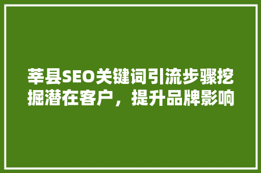 莘县SEO关键词引流步骤挖掘潜在客户，提升品牌影响力 必应SEO