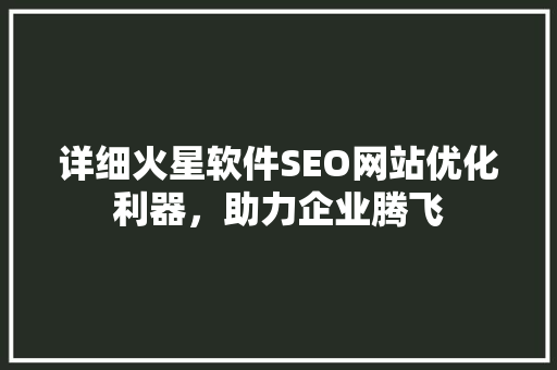详细火星软件SEO网站优化利器，助力企业腾飞 必应SEO