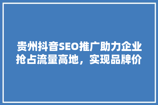 贵州抖音SEO推广助力企业抢占流量高地，实现品牌价值最大化 GoogleSEO