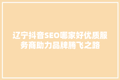 辽宁抖音SEO哪家好优质服务商助力品牌腾飞之路