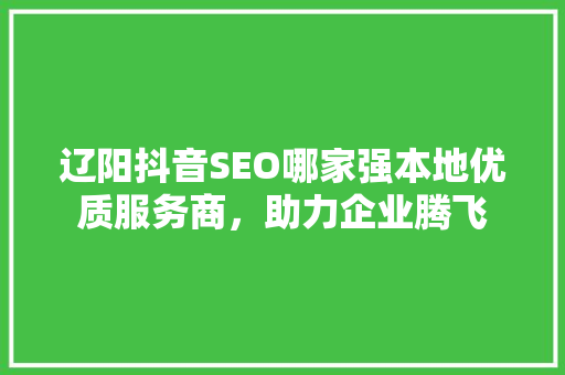 辽阳抖音SEO哪家强本地优质服务商，助力企业腾飞 百度SEO