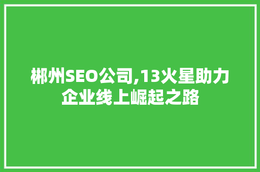 郴州SEO公司,13火星助力企业线上崛起之路 必应SEO