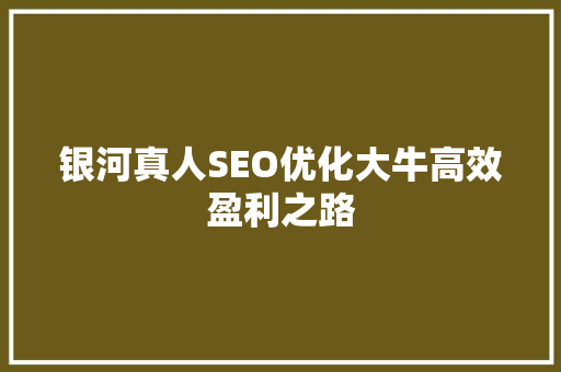 银河真人SEO优化大牛高效盈利之路 GoogleSEO