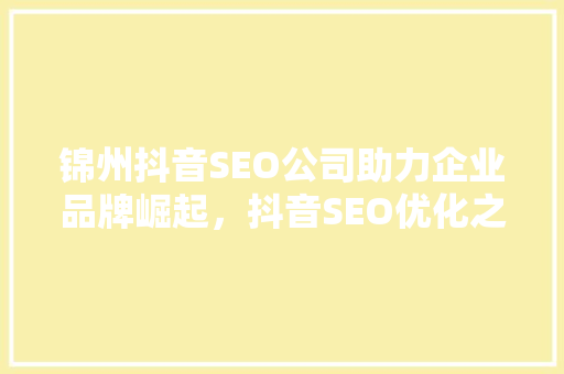锦州抖音SEO公司助力企业品牌崛起，抖音SEO优化之路 GoogleSEO