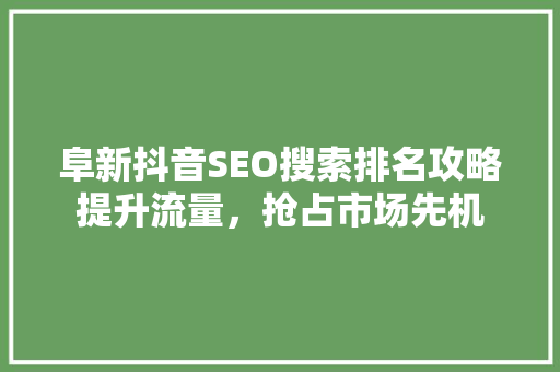 阜新抖音SEO搜索排名攻略提升流量，抢占市场先机 百度SEO