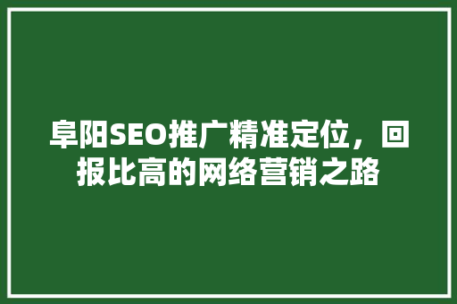 阜阳SEO推广精准定位，回报比高的网络营销之路 百度SEO
