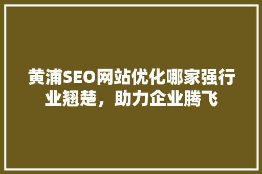 黄浦SEO网站优化哪家强行业翘楚，助力企业腾飞