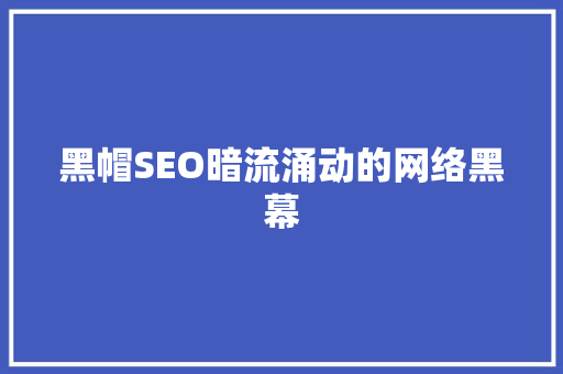 黑帽SEO暗流涌动的网络黑幕 GoogleSEO