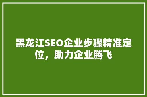 黑龙江SEO企业步骤精准定位，助力企业腾飞