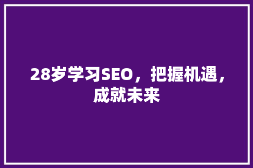 28岁学习SEO，把握机遇，成就未来 百度SEO