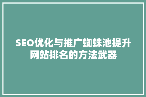 SEO优化与推广蜘蛛池提升网站排名的方法武器 必应SEO