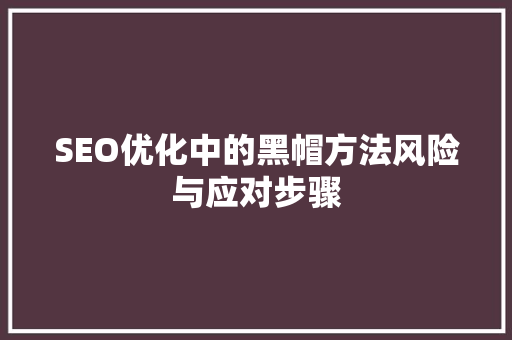SEO优化中的黑帽方法风险与应对步骤 必应SEO