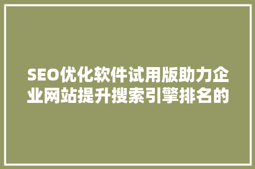 SEO优化软件试用版助力企业网站提升搜索引擎排名的得力助手 GoogleSEO