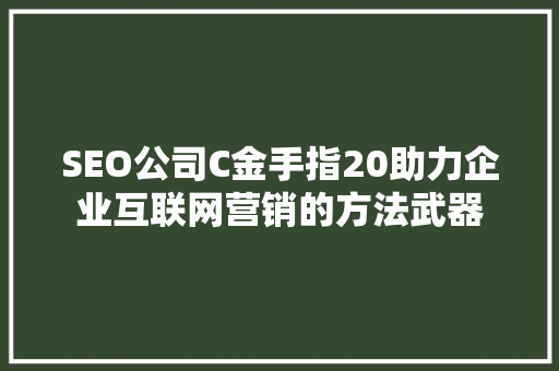 SEO公司C金手指20助力企业互联网营销的方法武器 神马SEO