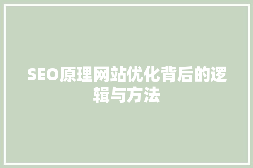 SEO原理网站优化背后的逻辑与方法 神马SEO