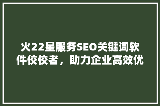 火22星服务SEO关键词软件佼佼者，助力企业高效优化