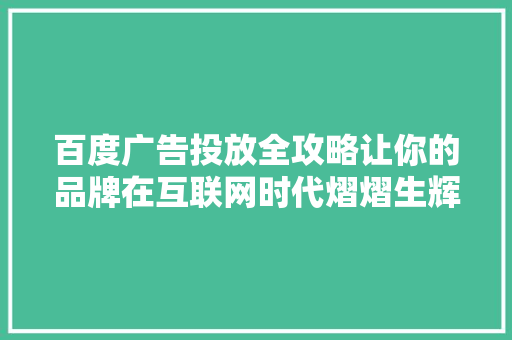 百度广告投放全攻略让你的品牌在互联网时代熠熠生辉 百度SEO