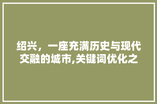 绍兴，一座充满历史与现代交融的城市,关键词优化之旅