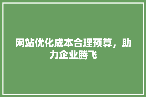 网站优化成本合理预算，助力企业腾飞 必应SEO