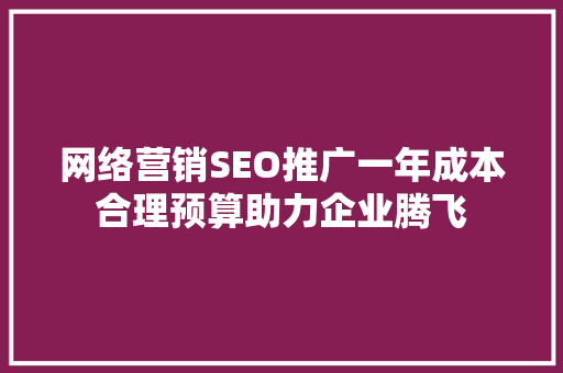 网络营销SEO推广一年成本合理预算助力企业腾飞
