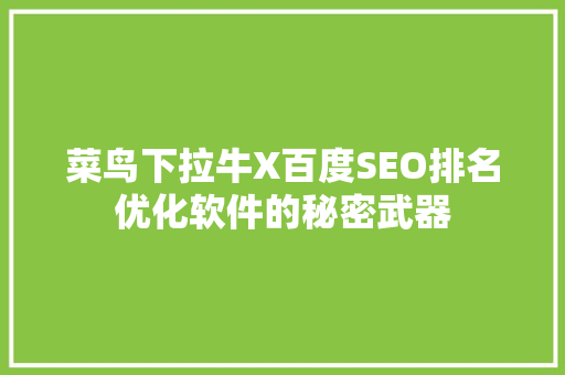 菜鸟下拉牛X百度SEO排名优化软件的秘密武器 必应SEO