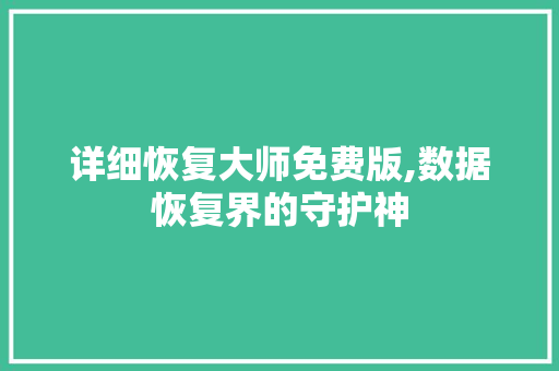 详细恢复大师免费版,数据恢复界的守护神 必应SEO