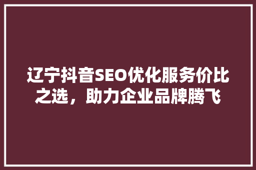 辽宁抖音SEO优化服务价比之选，助力企业品牌腾飞 GoogleSEO
