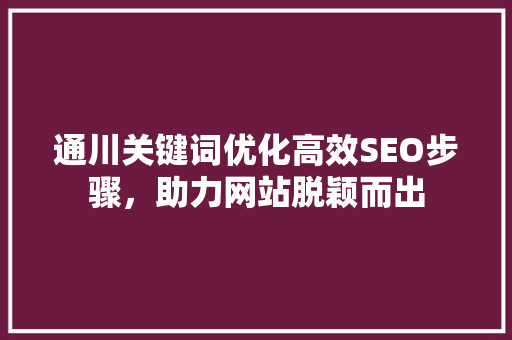 通川关键词优化高效SEO步骤，助力网站脱颖而出
