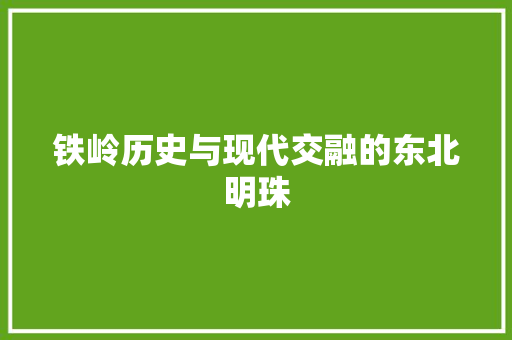 铁岭历史与现代交融的东北明珠 必应SEO