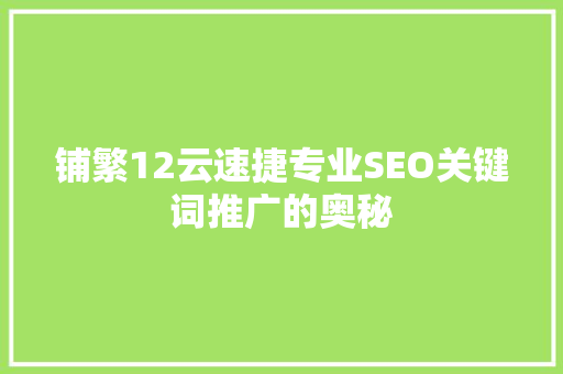 铺繁12云速捷专业SEO关键词推广的奥秘 神马SEO
