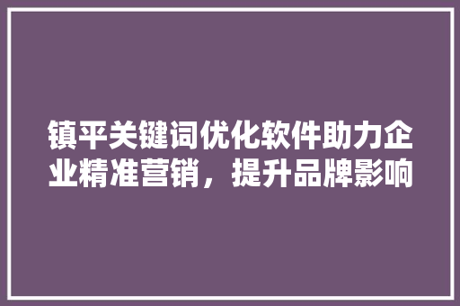 镇平关键词优化软件助力企业精准营销，提升品牌影响力 神马SEO