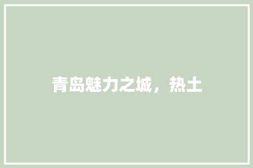 青岛魅力之城，热土 必应SEO