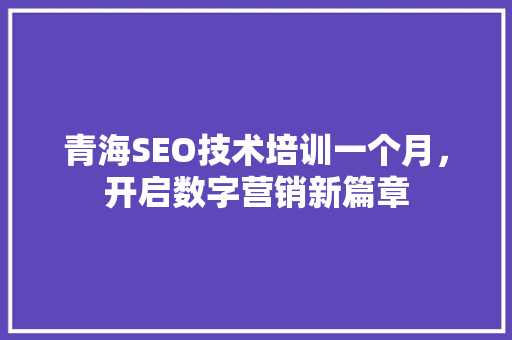 青海SEO技术培训一个月，开启数字营销新篇章 神马SEO