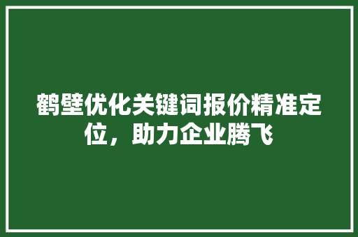 鹤壁优化关键词报价精准定位，助力企业腾飞 百度SEO