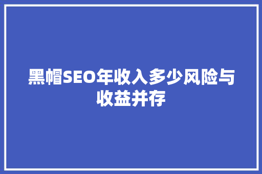 黑帽SEO年收入多少风险与收益并存