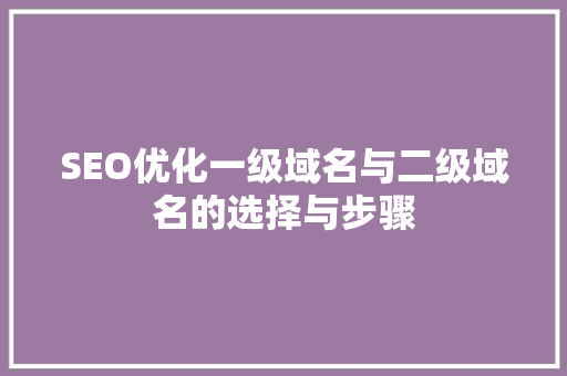 SEO优化一级域名与二级域名的选择与步骤 GoogleSEO