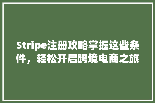 Stripe注册攻略掌握这些条件，轻松开启跨境电商之旅 搜狗SEO
