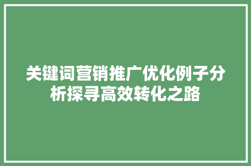 关键词营销推广优化例子分析探寻高效转化之路