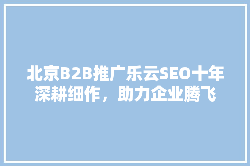 北京B2B推广乐云SEO十年深耕细作，助力企业腾飞 神马SEO