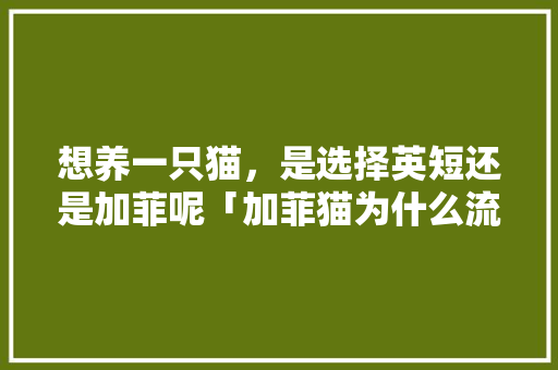 想养一只猫，是选择英短还是加菲呢「加菲猫为什么流行到中国」 想养一只猫，是选择英短还是加菲呢「加菲猫为什么流行到中国」 搜狗SEO